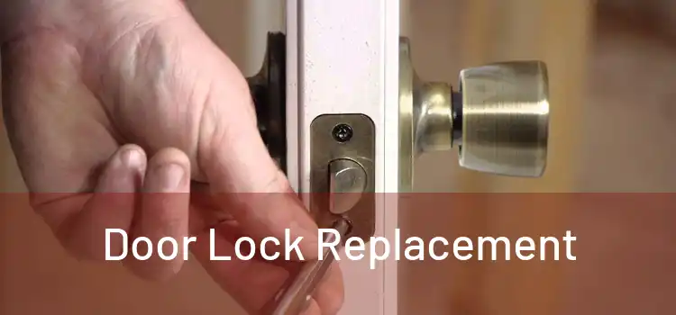  Door Lock Replacement 